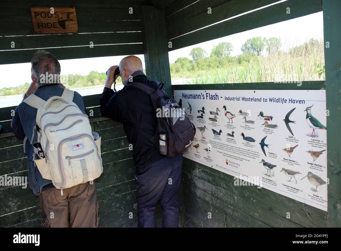 Two male birdwatchers at Pod's Hide, Neumann's flash, Cheshire, UK Stock Photo