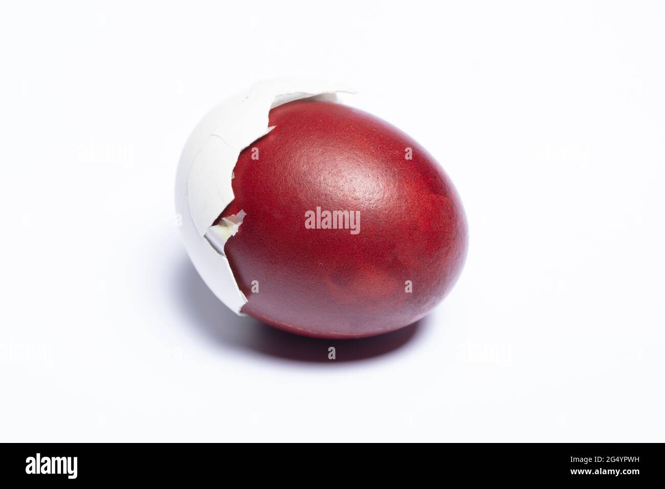 Classic easter egg painted with onion peel close-up on a white background Stock Photo