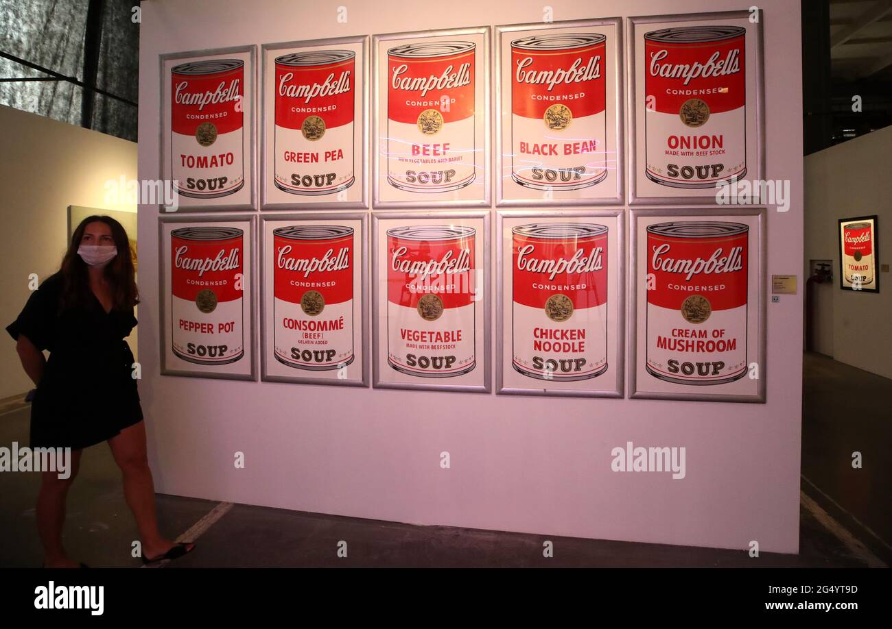 Campbells Soup Cans 1962 High Resolution Stock Photography and Images ...
