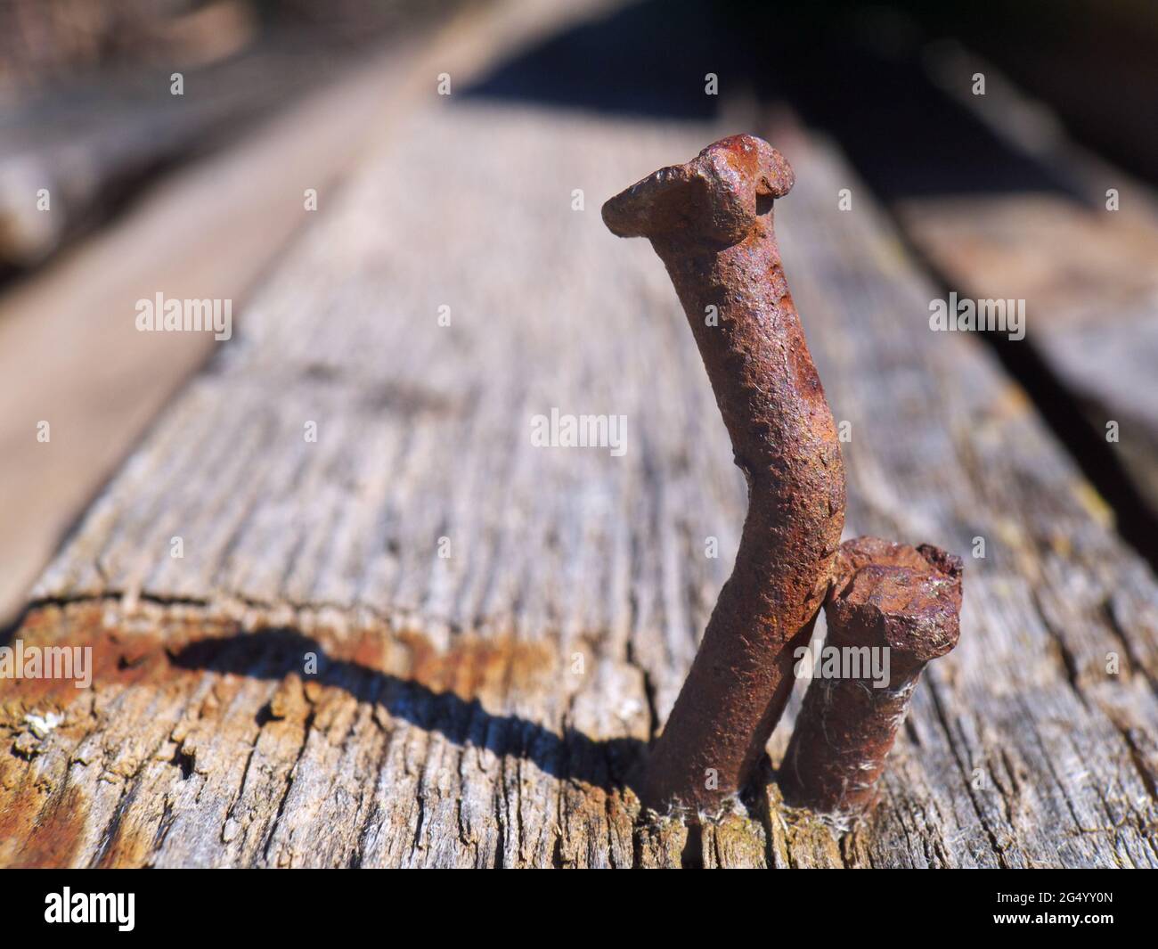 Two rusty curved nails macro Stock Photo