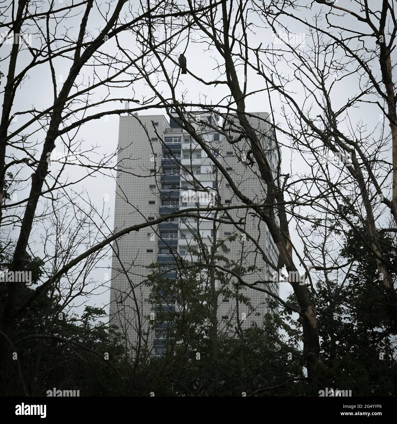 Halle Neustadt High Resolution Stock Photography And Images Alamy