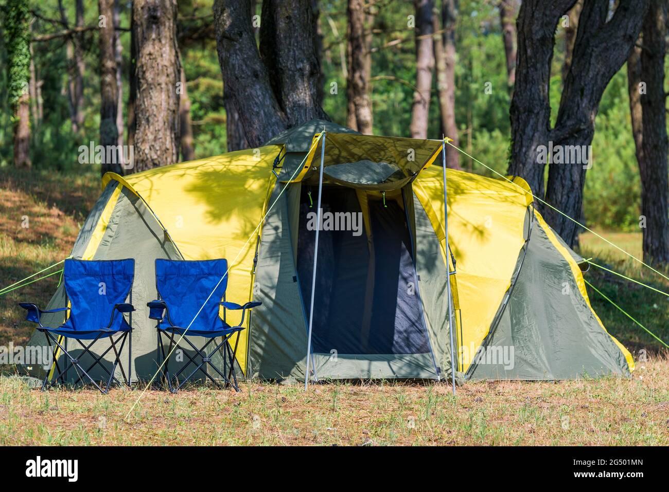 camping and two chairs in a picturesque place among pine trees Stock Photo