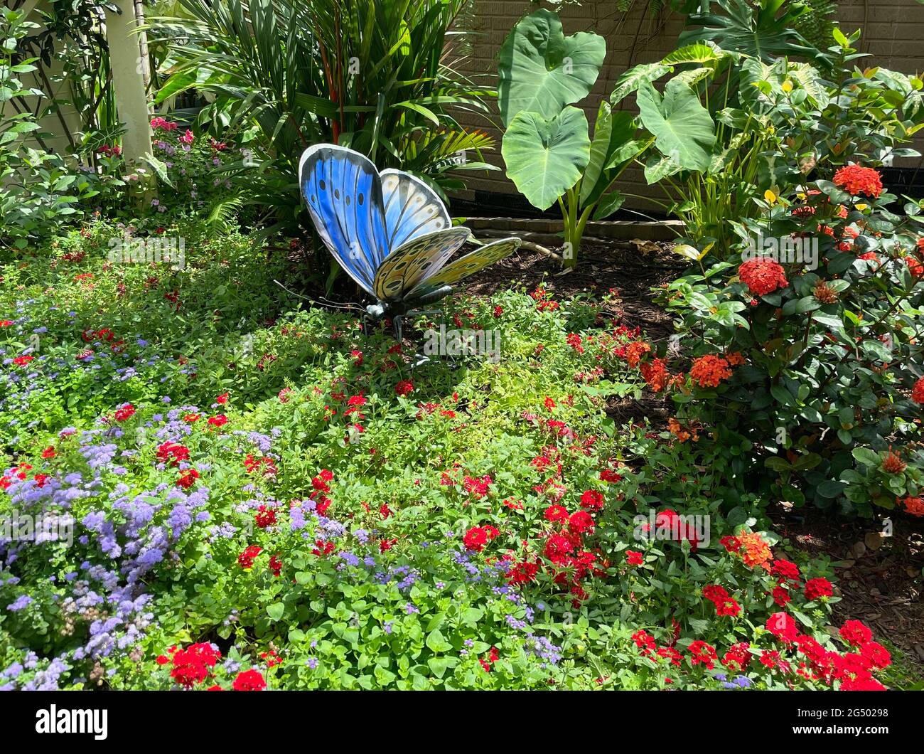 A butterfly garden with many diverse plants for the butterflies to feed