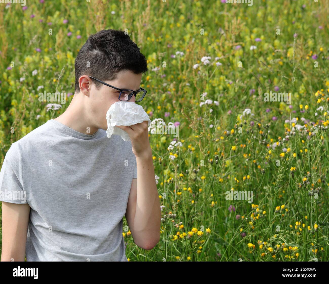 young short-sighted boy in glasses sneezes from allergy from herbs on the flowery field in spring Stock Photo
