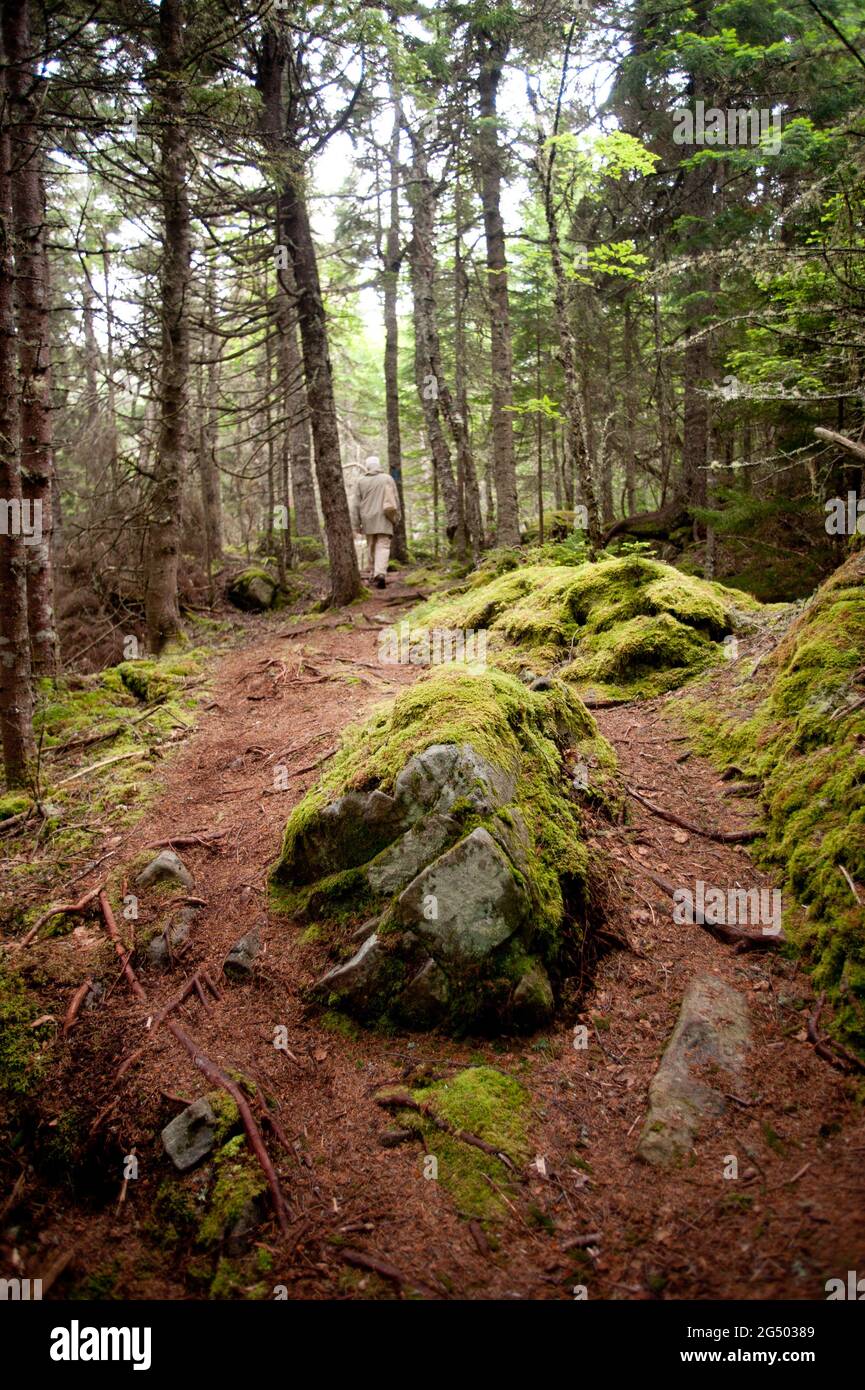 Coastal Trail, Cutler Coast Public Land, Bold Coast Trail, Cutler