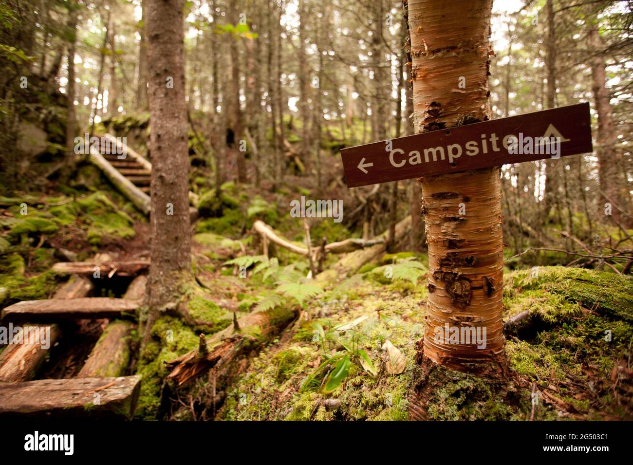 Campsite Sign Along Coastal Trail at Fairy Head, Cutler Coast Public