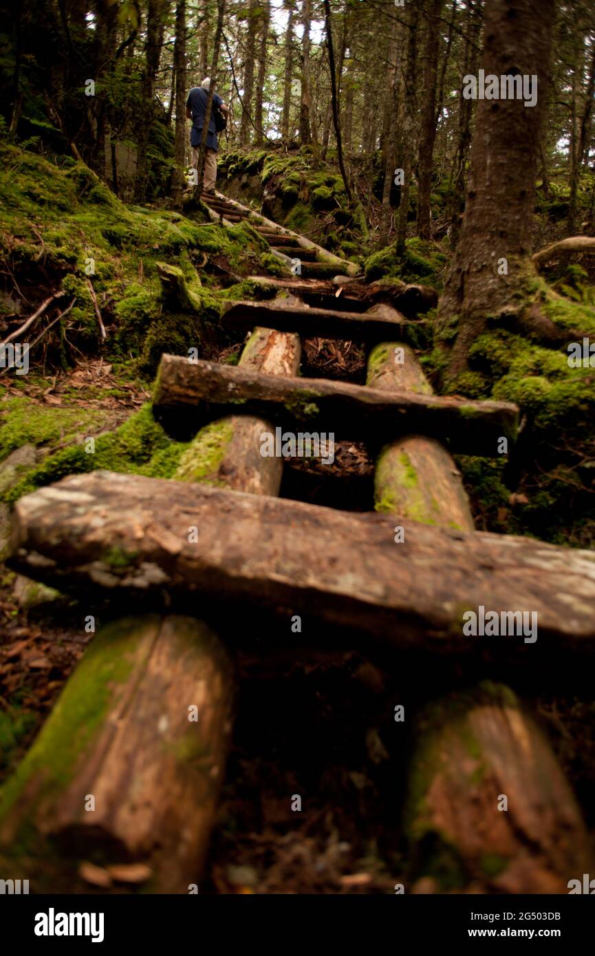 Coastal Trail at Fairy Head, Cutler Coast Public Land, Bold Coast Trail