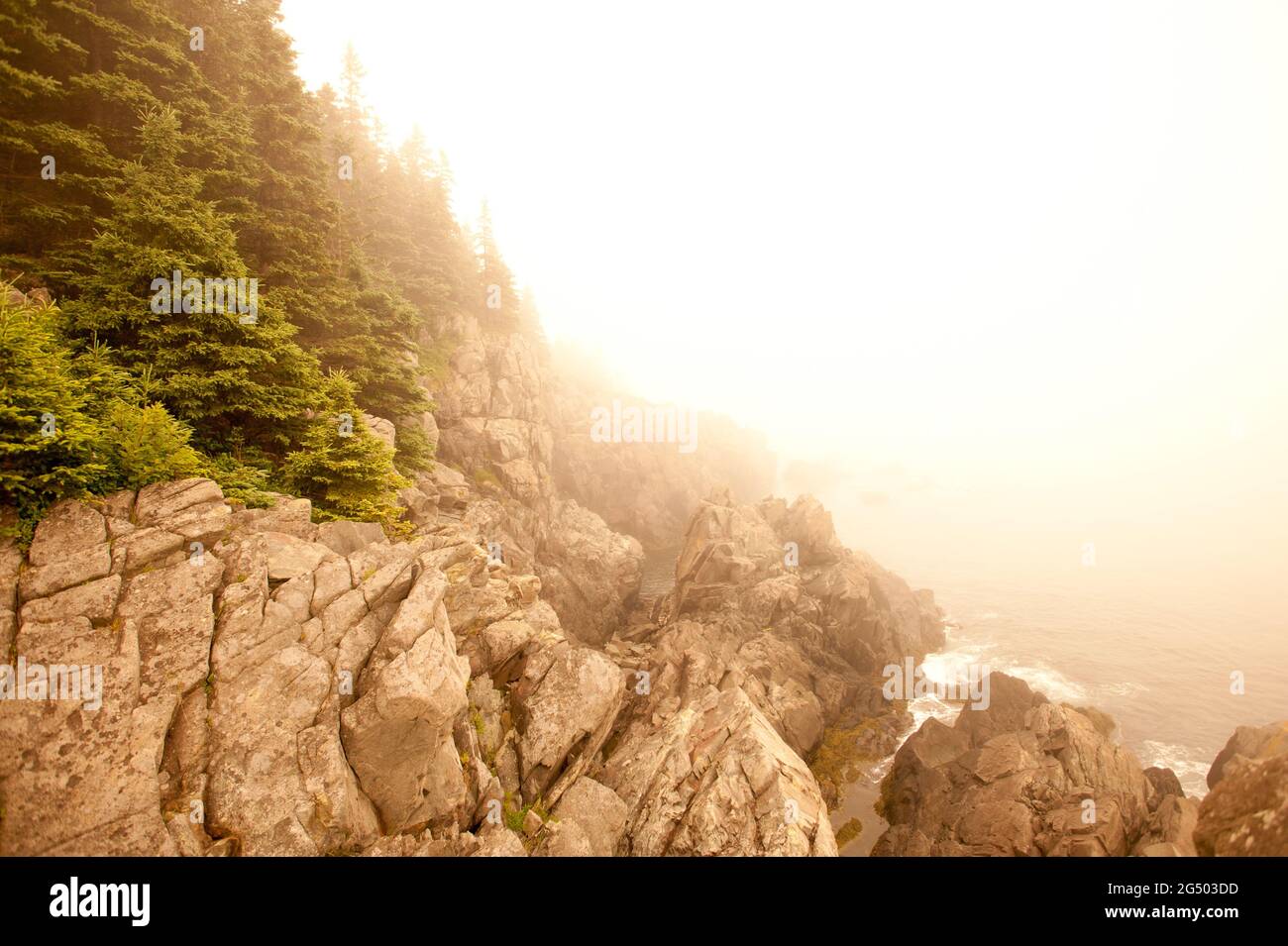 Coastal Trail Overlook, Cutler Coast Public Land, Bold Coast Trail