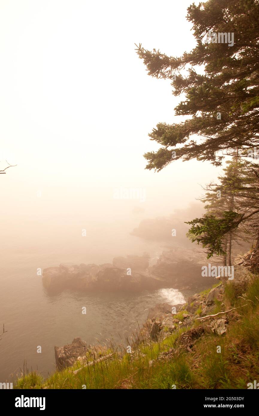 Coastal Trail, Cutler Coast Public Land, Bold Coast Trail, Cutler