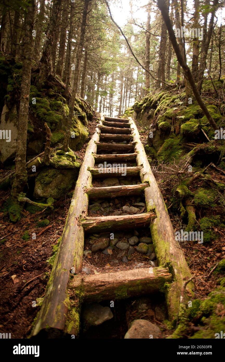 Coastal Trail at Fairy Head, Cutler Coast Public Land, Bold Coast Trail