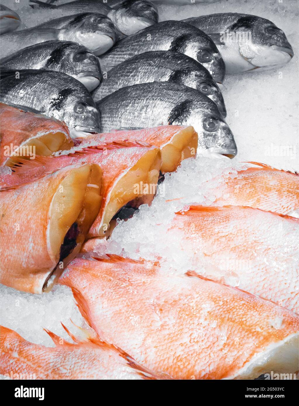 fresh atlantic fish in market Stock Photo Alamy