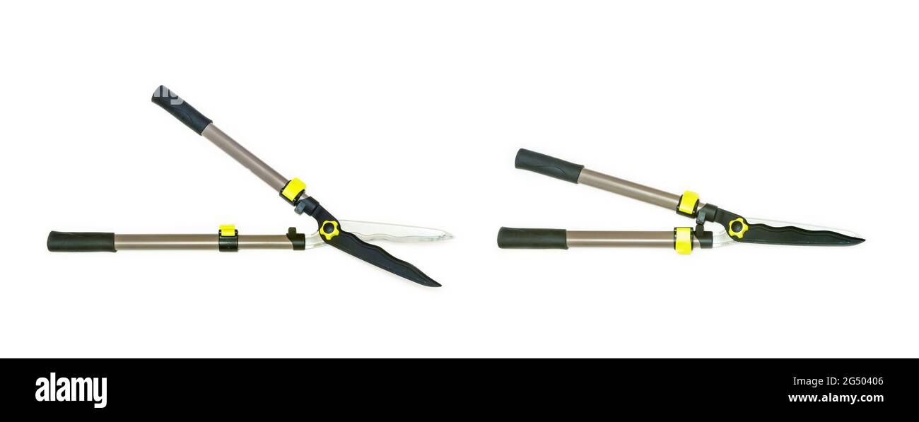 the lopping shears or planting hatchet, branch remover Stock Photo