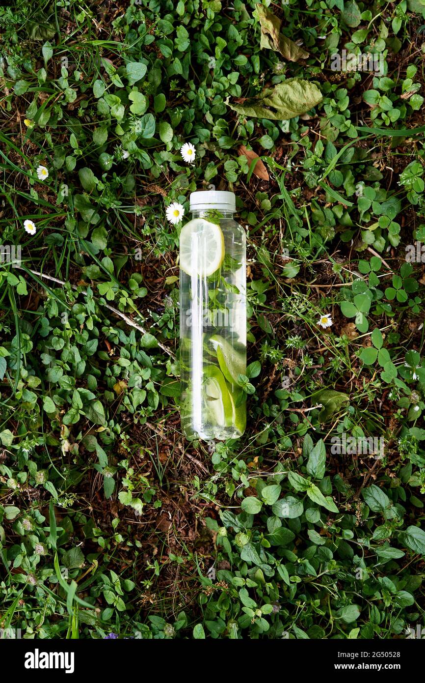 Bottle of water lies on the green grass among the daisies Stock Photo ...