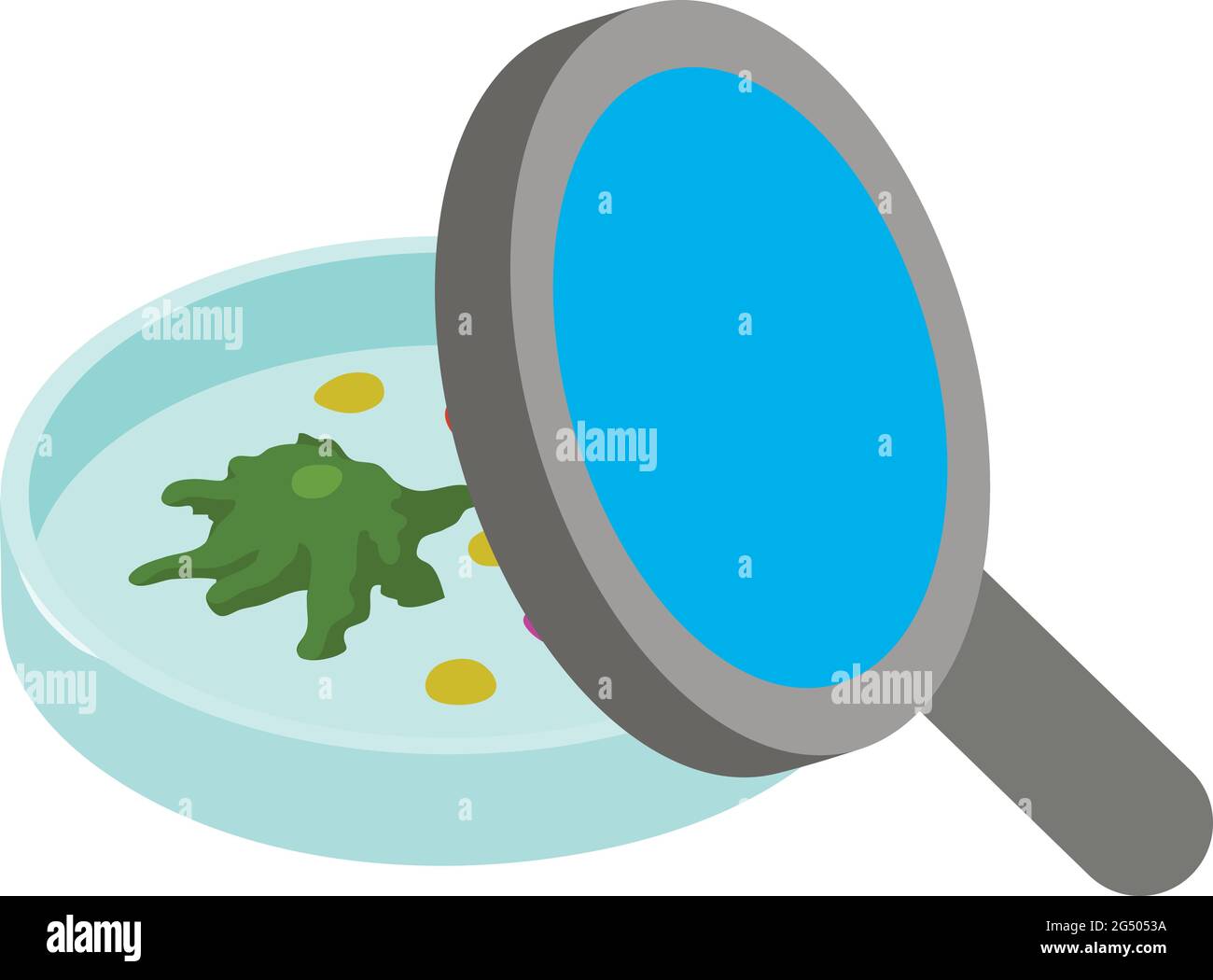 Coccus bacteria Cut Out Stock Images & Pictures - Alamy