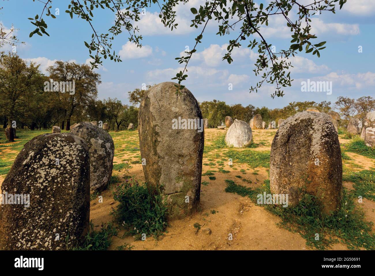 near Evora, Evora District, Alentejo, Portugal.  Cromeleque dos Almendres, or Cromlech of the Almendres neolithic standing stones.  Archeologists esti Stock Photo