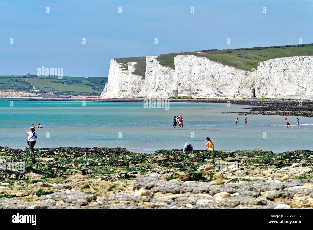 The chalk cliffs of the Seven Sisters coastline at Birling Gap, South Downs National Park on a hot sunny summers day, Eastbourne East Sussex England Stock Photo