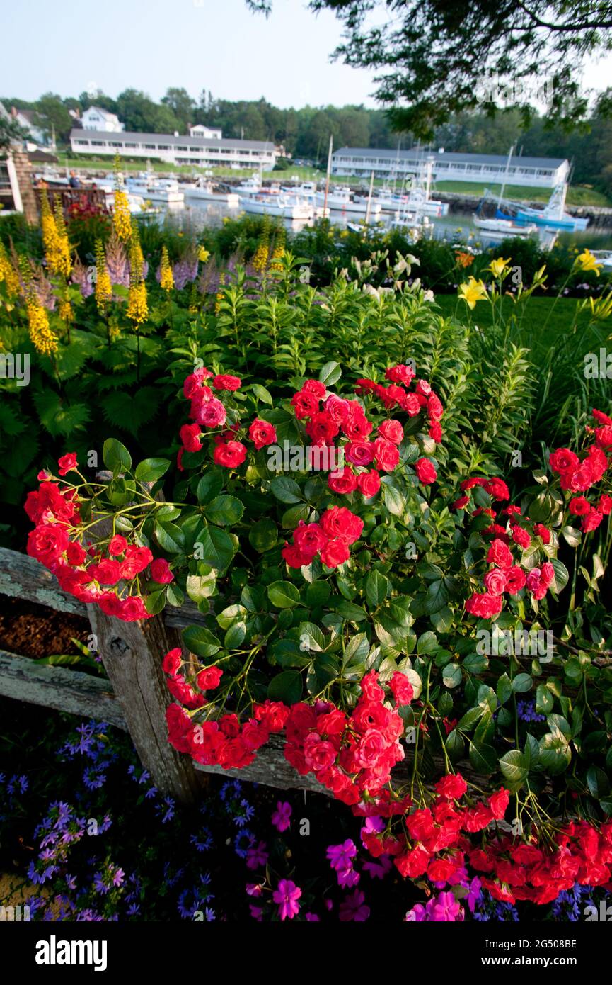 Perkins Cove, Ogunquit, Maine, USA Stock Photo