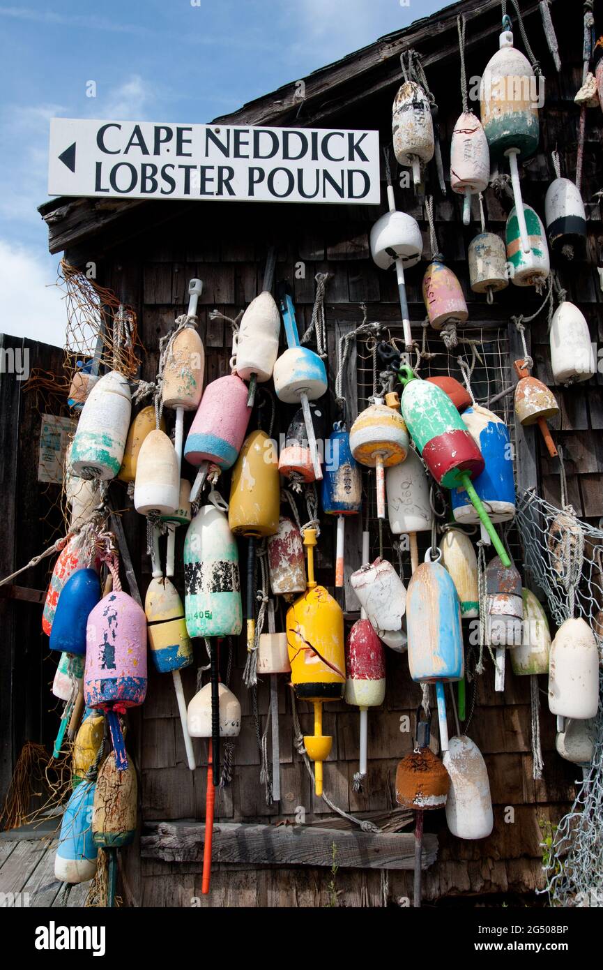 Buoys Hanging on Lobster Shack, Cape Neddick Lobster Pound, Cape