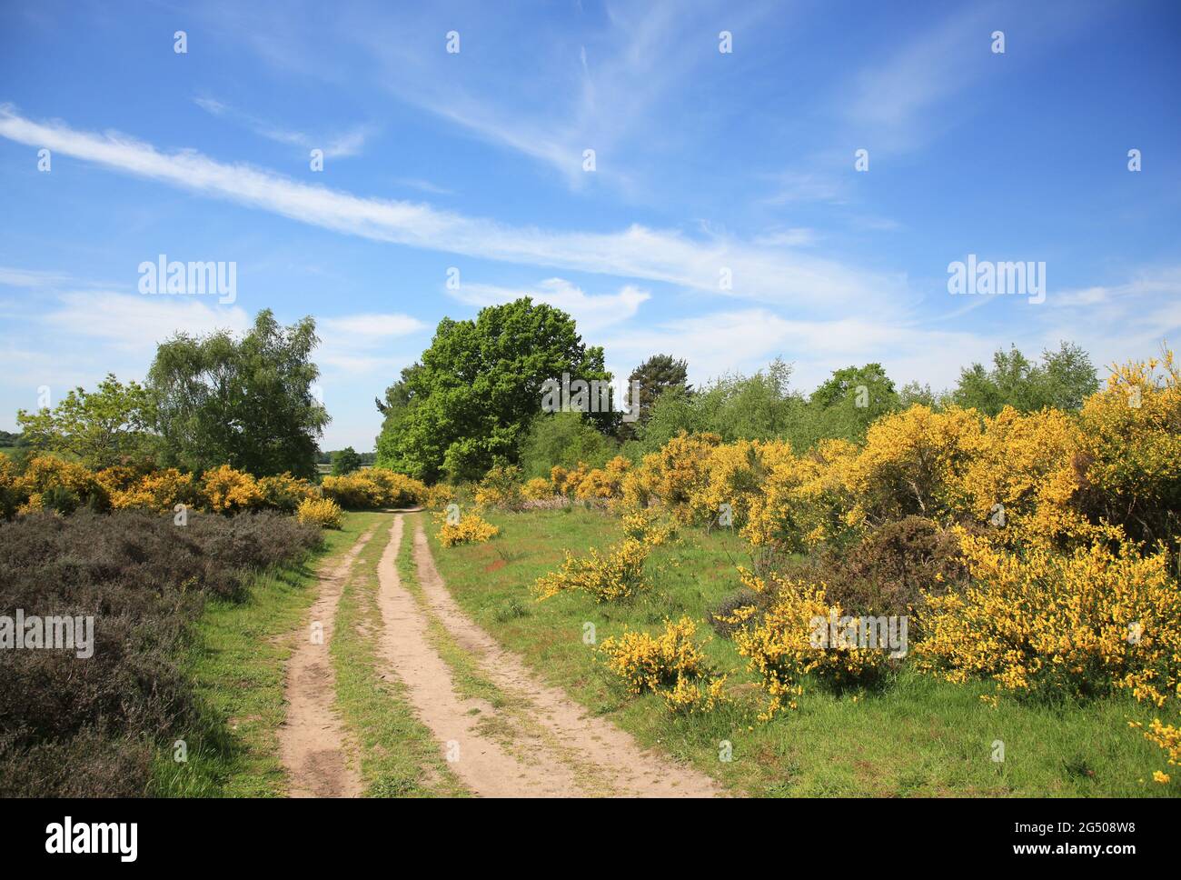 Range rifle hires stock photography and images Alamy