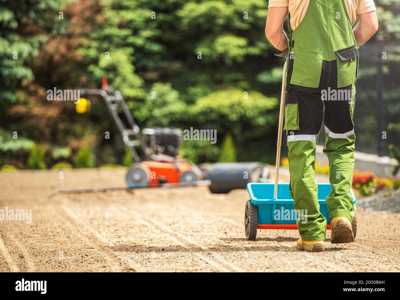 Grass Seeds Distribution Along Backyard Garden Using Manual Spreader. Gardening Theme Stock