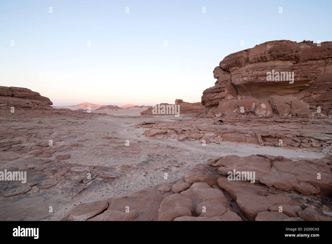 EGYPT, SINAI: Together with Bedouin Soliman Al Ashrab from the Mzaina tribe, 2 camels and 2 dogs did I walk for four days through the desert close to Stock Photo