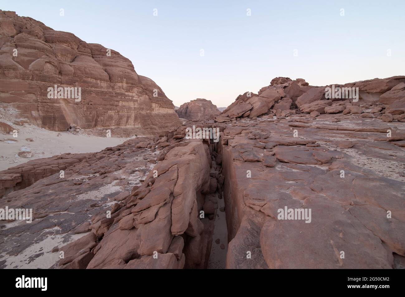 EGYPT, SINAI: Together with Bedouin Soliman Al Ashrab from the Mzaina tribe, 2 camels and 2 dogs did I walk for four days through the desert close to Stock Photo