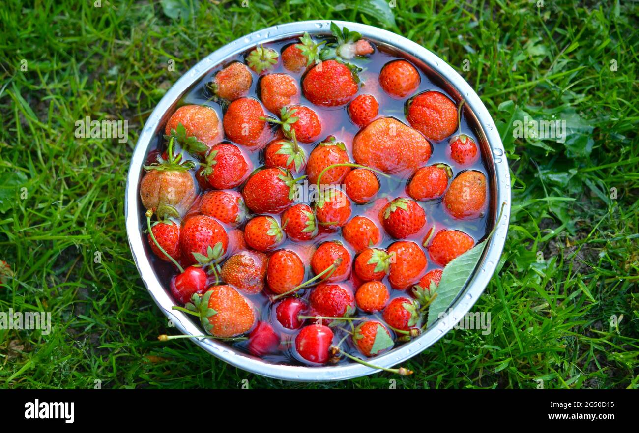 Strawberries falling fresh bowl hi-res stock photography and images - Alamy
