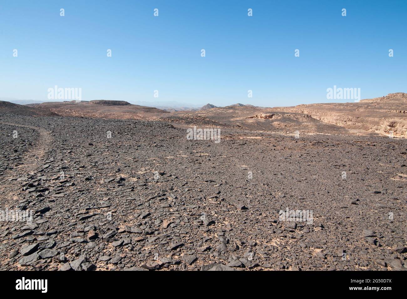 EGYPT, SINAI: Together with Bedouin Soliman Al Ashrab from the Mzaina tribe, 2 camels and 2 dogs did I walk for four days through the desert close to Stock Photo