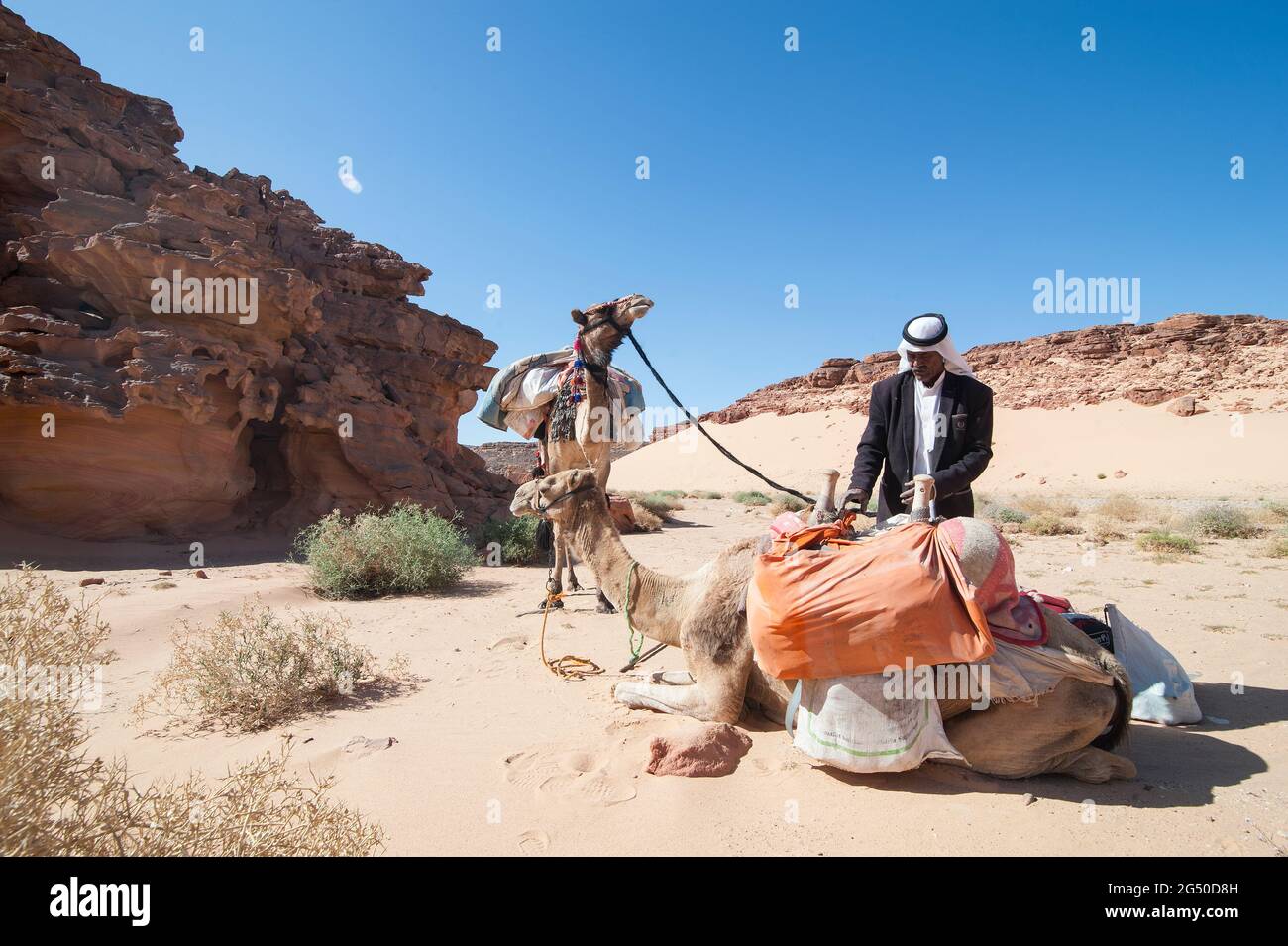 EGYPT, SINAI: Together with Bedouin Soliman Al Ashrab from the Mzaina tribe, 2 camels and 2 dogs did I walk for four days through the desert close to Stock Photo