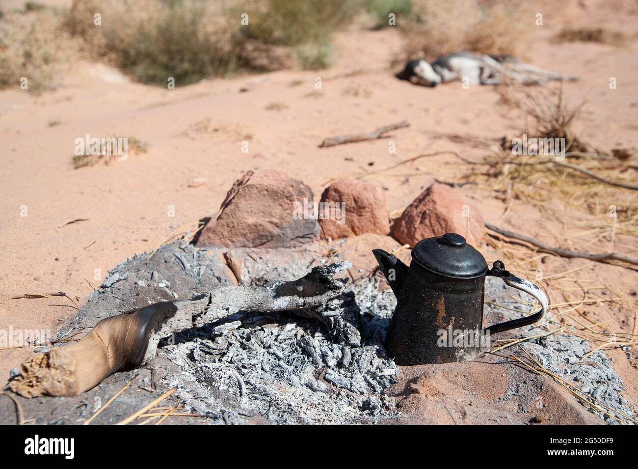 EGYPT, SINAI Together with Bedouin Soliman Al Ashrab from the Mzaina