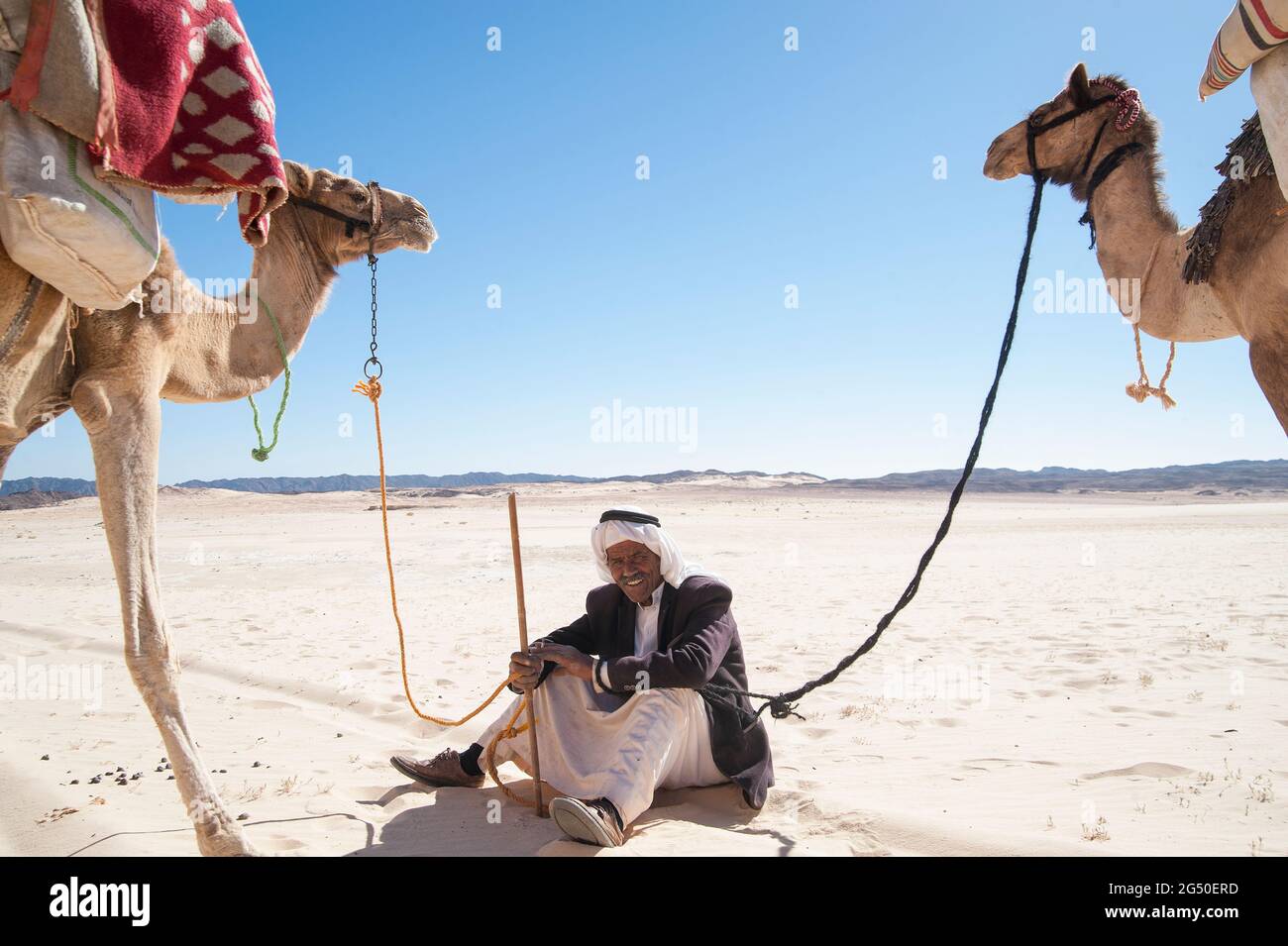 EGYPT, SINAI: Together with Bedouin Soliman Al Ashrab from the Mzaina tribe, 2 camels and 2 dogs did I walk for four days through the desert close to Stock Photo