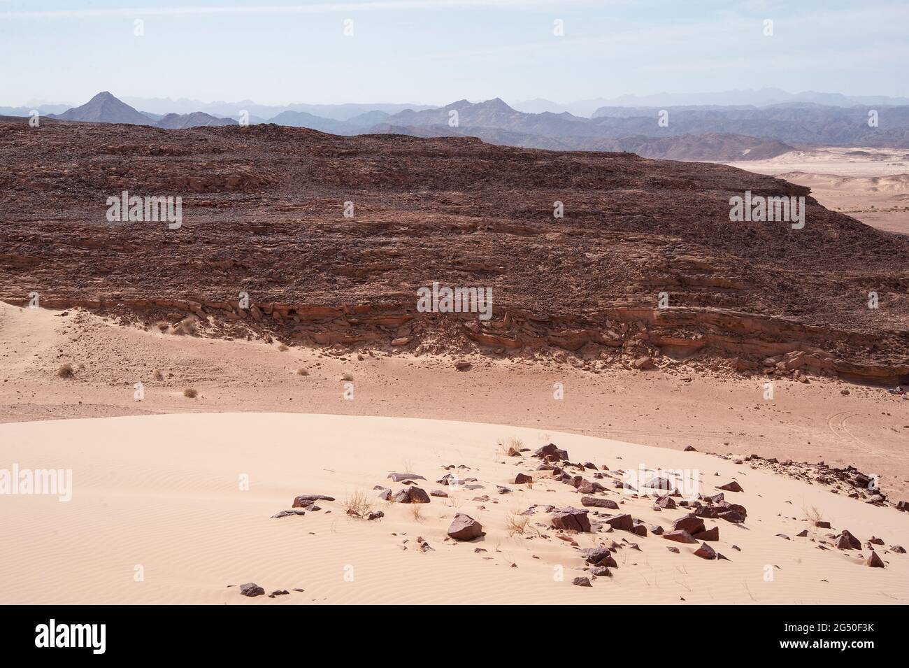 EGYPT, SINAI: Together with Bedouin Soliman Al Ashrab from the Mzaina tribe, 2 camels and 2 dogs did I walk for four days through the desert close to Stock Photo