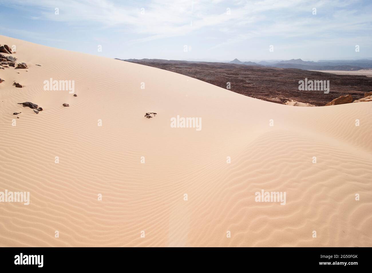 EGYPT, SINAI: Together with Bedouin Soliman Al Ashrab from the Mzaina tribe, 2 camels and 2 dogs did I walk for four days through the desert close to Stock Photo