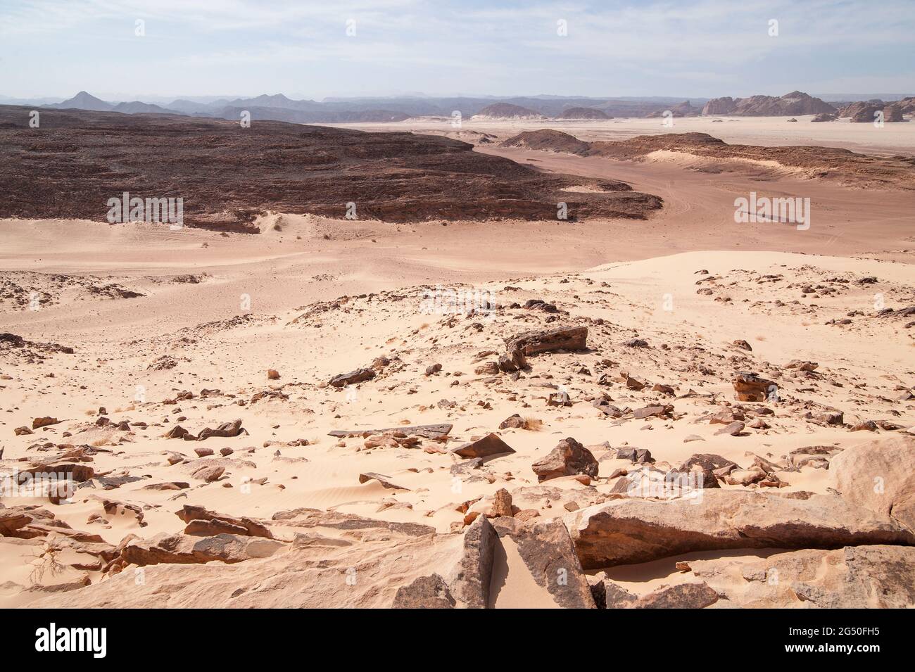 EGYPT, SINAI Together with Bedouin Soliman Al Ashrab from the Mzaina