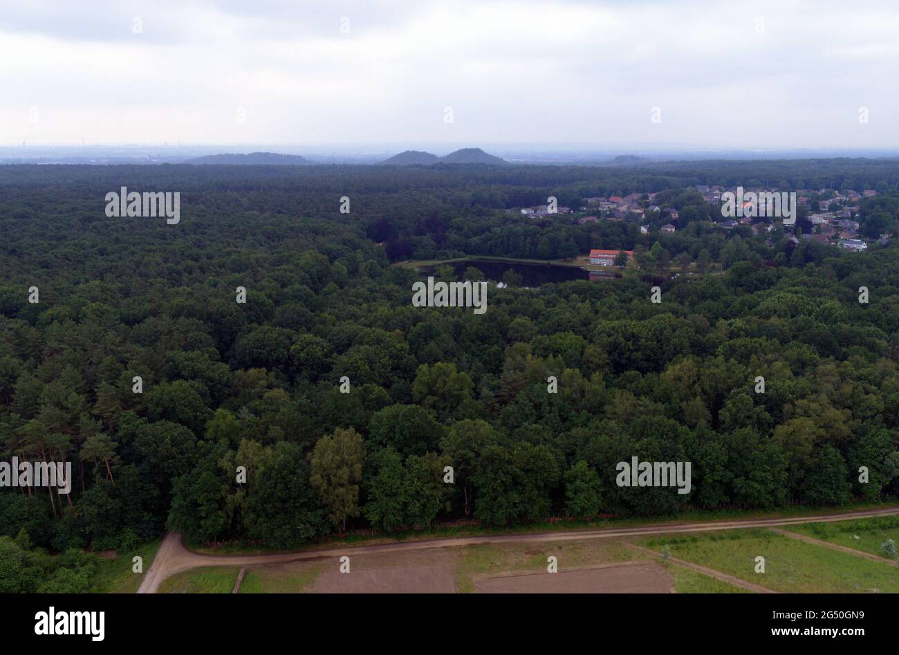 Aerial drone picture shows  the Dilserbos, where the car of fugitive soldier Jurgen Conings was discovered, in a forest area of Nationaal Park Hoge Ke Stock Photo