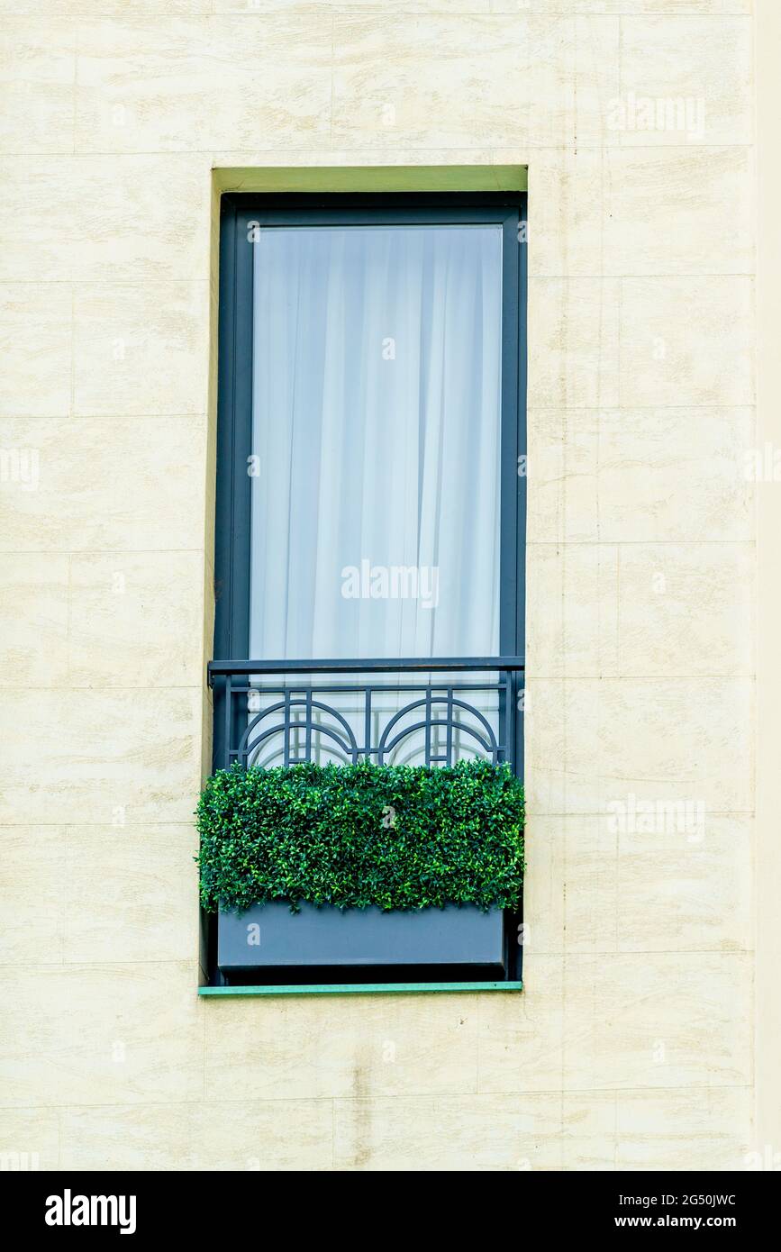 closeup of some plant in window, architecture detail Stock Photo