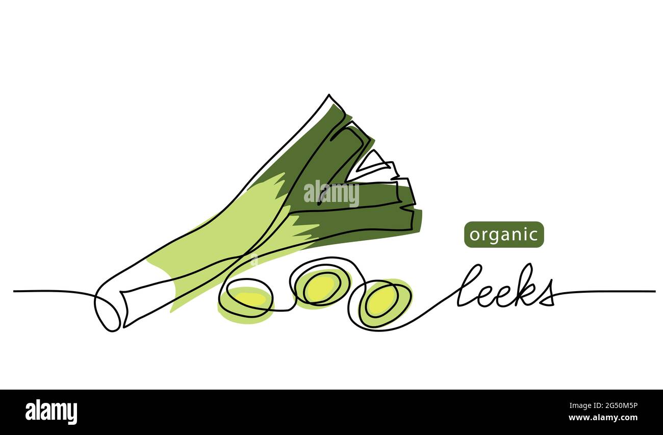 Leeks, fresh onion stalk vector illustration, background. One line drawing art illustration with lettering organic leeks Stock Vector