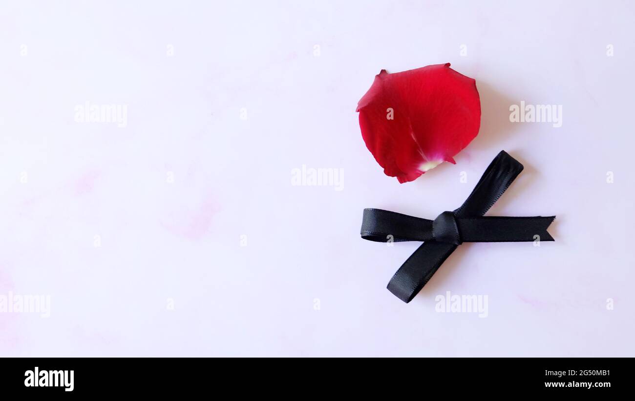 A single red rose petal, with a black ribbon bow below it. On pink marble background and copy space on the left. Stock Photo