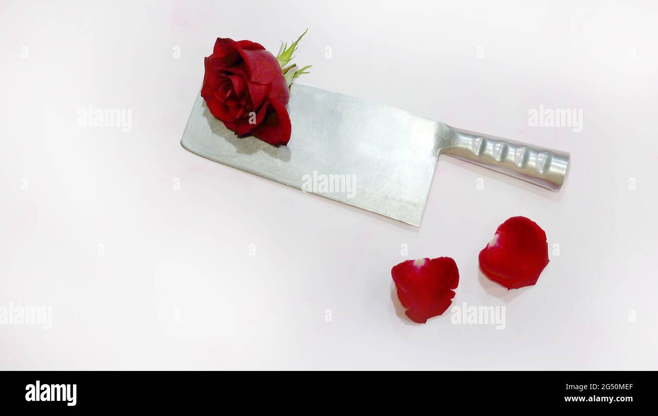 Flat lay of a metal knife, with a blooming red rose and two red petals nearby. Top view. Stock Photo