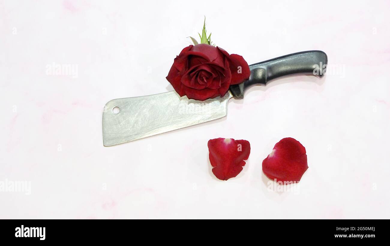 Flat lay of a butcher knife with black handle, and a blooming red rose and red petals nearby. Top view. Stock Photo