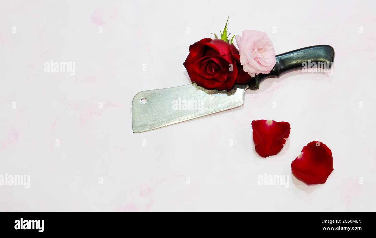 Blooming red and pink flower on top of a clean butcher knife with black handle. With two red petals nearby. Top view and flat lay. Stock Photo
