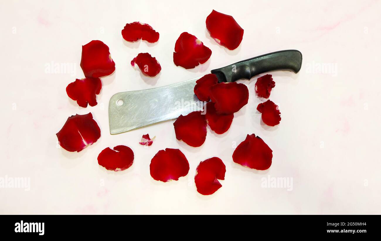 A butcher knife with black handle, surrounded by red rose petals. Top view, flat lay. Stock Photo