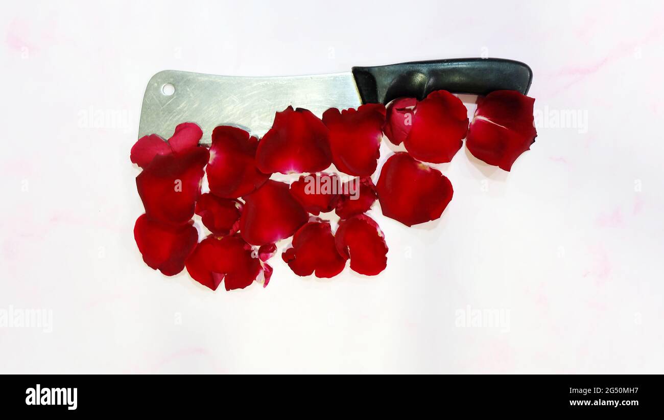 Flat lay of butcher knife, with its sharp blade covered by red rose petals.Top view. Stock Photo