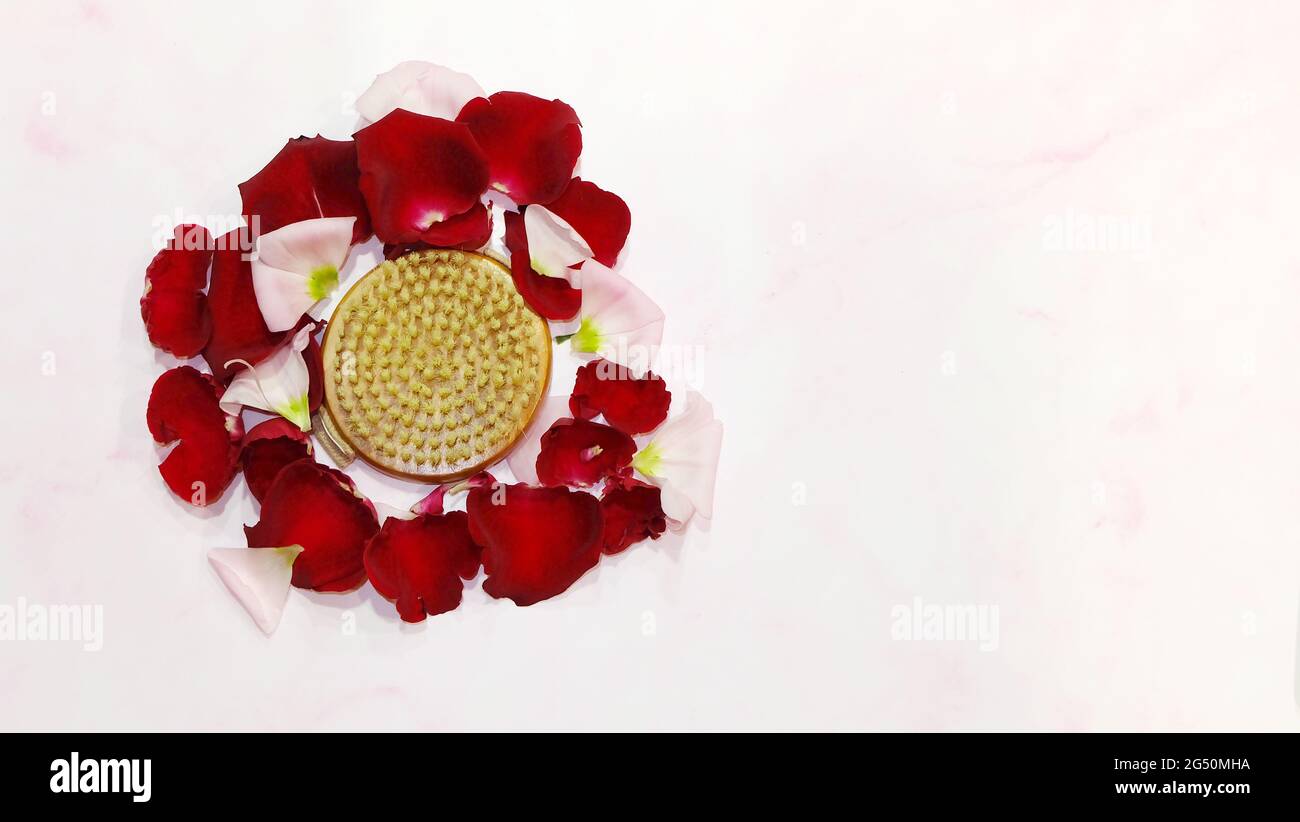 Flat lay of a round wooden body brush, surrounded by red and pink flower petals. With copy space on the right. Stock Photo