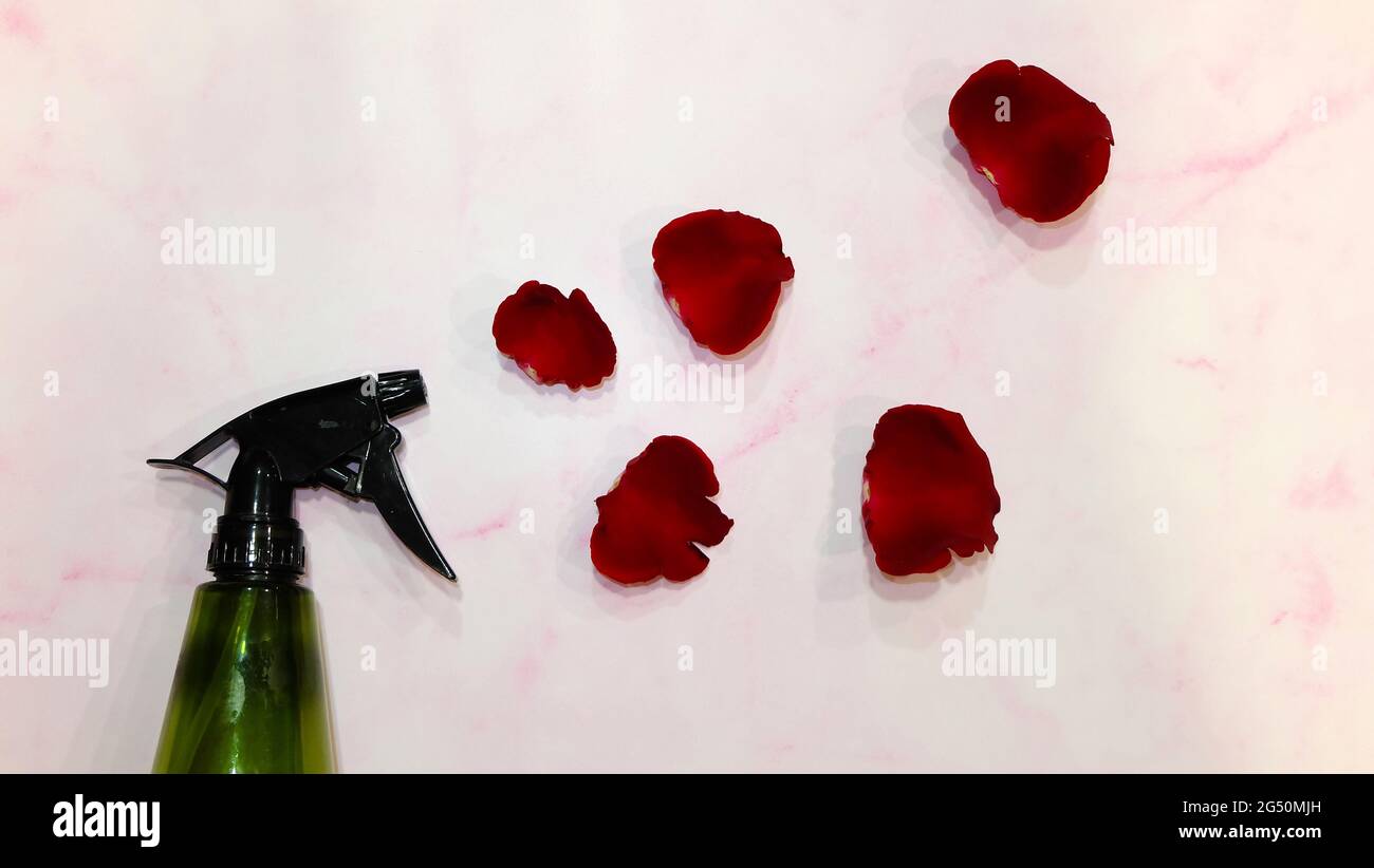 Flat lay of a green spray bottle with red rose petals arranged in front of the nozzle. Stock Photo