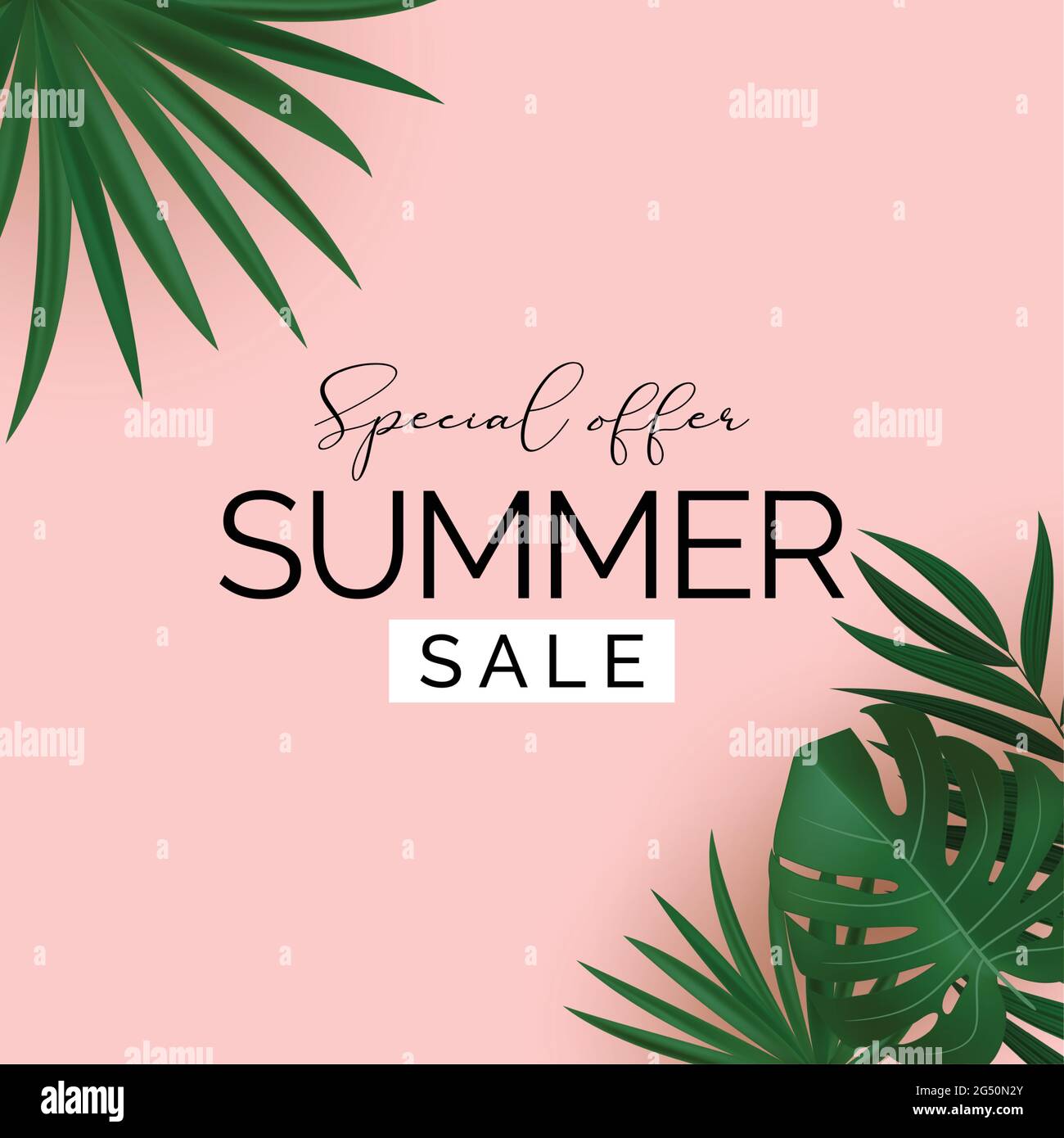 Summer Sale Natural Background with Tropical Palm and Monstera Leaves ...