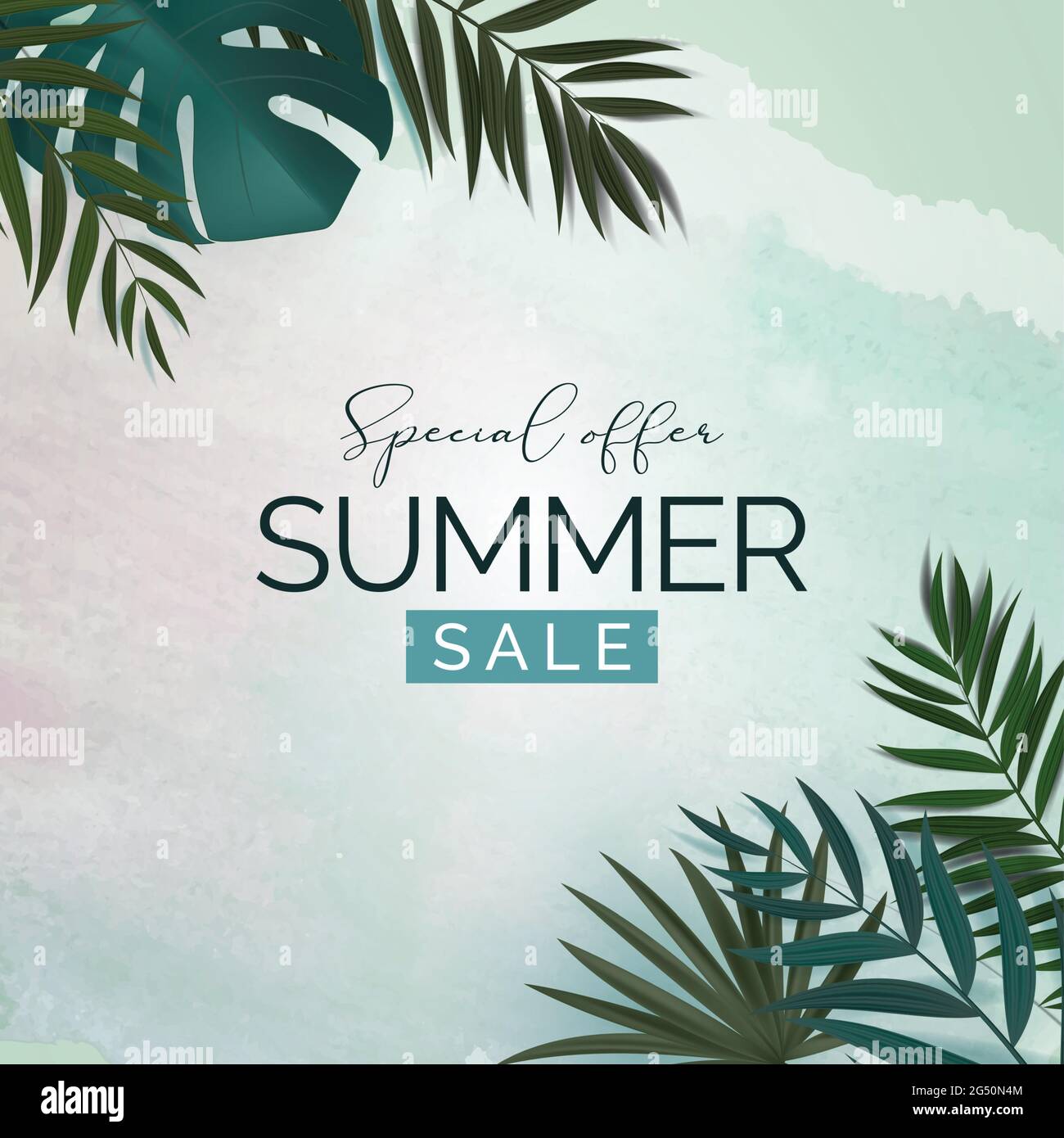 Summer Sale Natural Background with Tropical Palm and Monstera Leaves ...