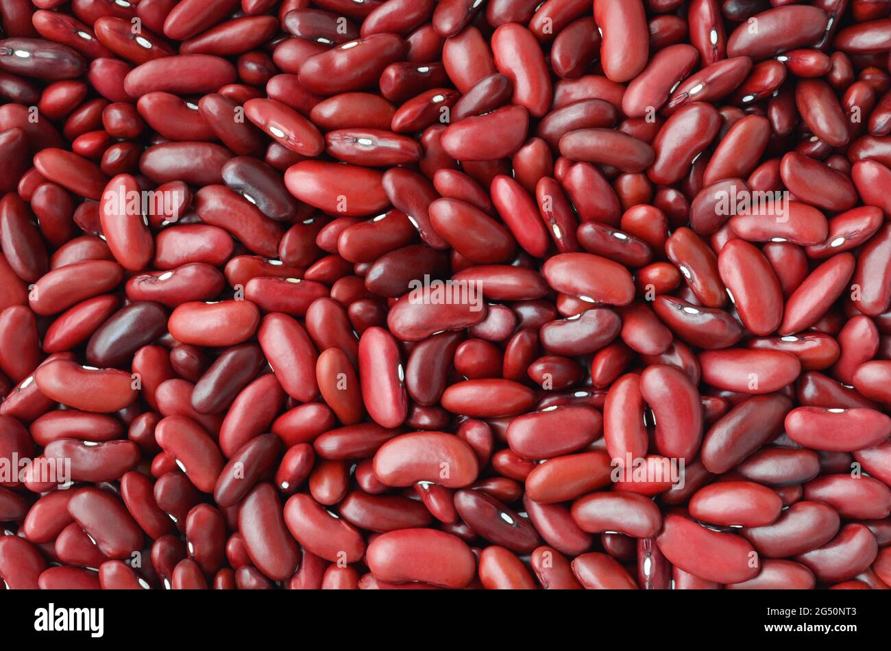 Red beans or phaseolus vulgaris on a full frame as a background. Stock Photo