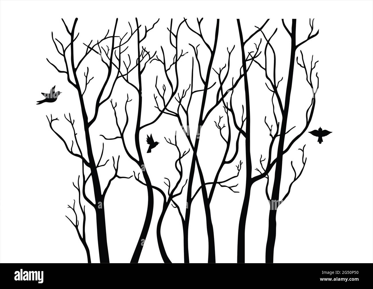 Beautiful tree branch silhouette background for wallpaper Stock Photo ...