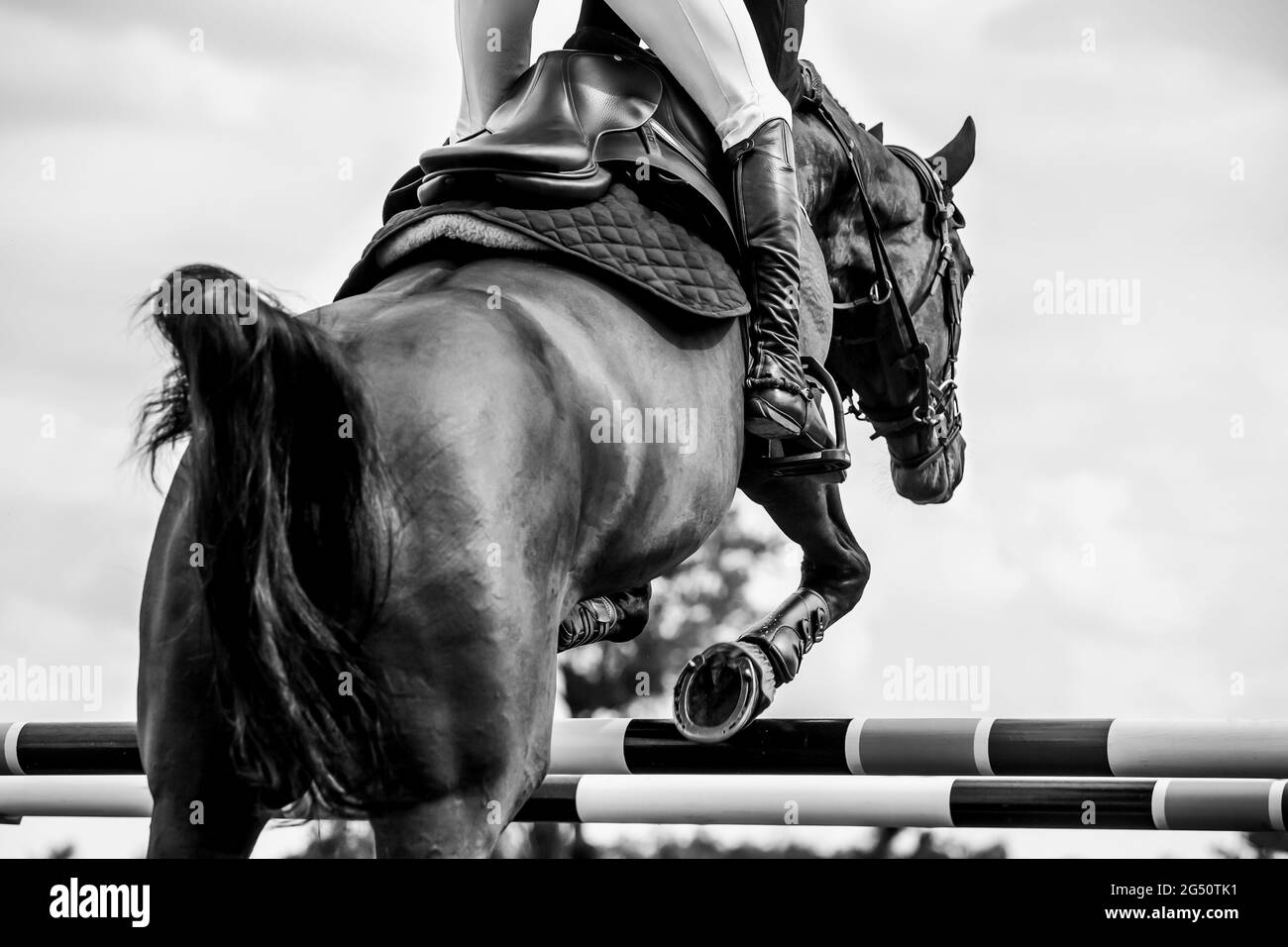 Horse Jumping, Equestrian Sports, Show Jumping event themed photograph